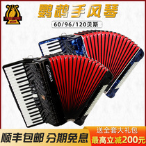  Parrot accordion 60 96 120 bass professional examination performance three or four rows of springs Beginner entry Children Adult