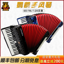  Parrot accordion 60 96 120 bass professional examination performance three or four rows of springs Beginner entry Children Adult