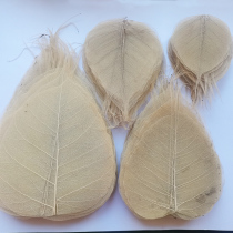 Clearance specials Bodhi leaf vein rubbing art paper dry flower collage partition diy leaf material ordinary quality