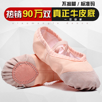  Adult childrens dance shoes Womens soft-soled body practice shoes Red black and white boys cat claw shoes Ballet shoes Yoga
