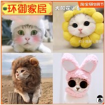 Knock cute rabbit cat headgear collar rabbit bib headgear photo funny props cat hat rabbit ears