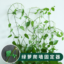  Green Luo wall climbing artifact Green plant holder incognito paste hook Plant green vine wall climbing winding fixed buckle hook