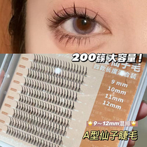 Art Research Nai Fake Eyelash Woman A-type Fairies Hair Single Tuff Graft Self-Adhesive Nature Emulation Sectional Cartoon Barbie Eye