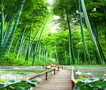 New live background cloth stereo anchor wallpaper cloth 3D landscape Prairie main bamboo forest outdoor scenery Lotus Mid-Autumn Festival