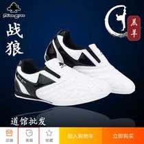 Pine Wolf Warrior Wu Sheng Taekwondo Shoes Training Coach Shoes Children Adult Breathable Martial Arts White Shoes Mens and Womens Soft Bottom