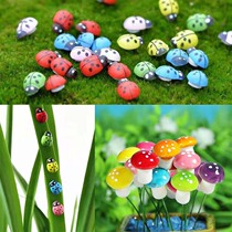 Micro-landscape ornaments succulent gadgets seven-star ladybug wooden crafts beetles green plant decorations small plug-ins