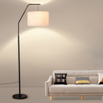 Fishing floor lamp living room simple modern bedroom sofa side Nordic led remote control bedside eye protection vertical table lamp