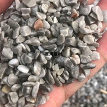 Light gray grass gravel gravel gravel gravel gravel gravel light gravel washed stone washed stone washing paving road aggregate