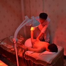 Infrared physiotherapy lamp home baking lamp beauty salon special floor-standing double-head infrared heating lamp heating lamp