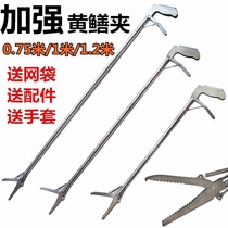 Stainless steel yellow eel clips eel fish clip loach crab pliers 1 2 not embroidered steel pliers Manual Good with color glue