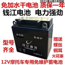 Motorcycle battery 12V universal maintenance-free 12v9a scooter 125 booster 110 bending beam dry battery Battery Battery