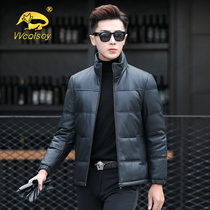 Haining leather leather men 2021 New Stand Collar slim trend short sheepskin jacket down jacket tide tide