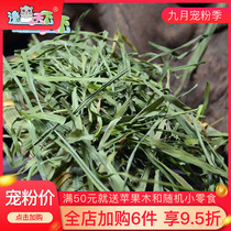 (Yidong) 21 years Herdatimothy Hay rabbit ChinChin guinea pig Dutch pig with a box of one kilogram