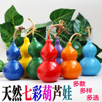 Colorful gourd baby pendant toys natural Gourd Dance props seven-color Gourd Brothers environmentally friendly painted small gourd