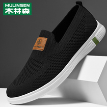 Wood Linson Male Shoes Spring Autumn New Flying Fabric Lefu Shoes Mens Summer Breathable Thin and Lazy Shoes A foot-pedal cloth shoes