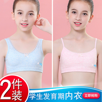 Developmental small vest female junior high school students 8-12 girl bra 16-year-old high school girl girl underwear