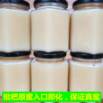 Loquat honey deep mountains wild agricultural products pure natural high quality authentic winter honey edible soil honey 500g2020