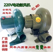 220V small household electric powerful blower barbecue blow carbon combustion stove coal stove egg aberdeen hair dryer