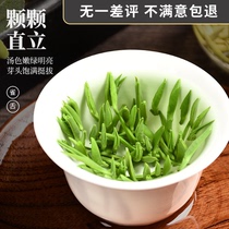 Sichuan Emeishan 2021 new tea bamboo leaf tea green authentic special grade 500g Mingqen tender green tea tea