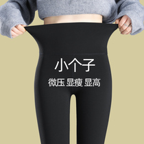 Shark Pants Outside of Womens Summer Thin Subs Underpants Girls Yoga Pants 80% Barbie Pants Pants Spring Autumn Nine