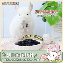 Black currant dry ChinChin guinea pig hamster squirrel rabbit snack enhances small pet immunity resistance good palatability