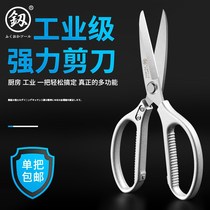 Household kitchen scissors strong chicken bone meat bone scissors gold stainless steel industrial grade short mouth 304 Germany