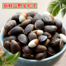 Fruit meow raw pine nuts Yunnan mountain growth pine nuts do not open fresh original flavor hand-peeled bulk pregnant nut snacks