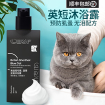 Cat shower gel Blue Cat Bath special flea lice sterilization and oil pet kitten English short cat shower gel