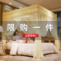 2021 New Home Summer Free Installation Palace Bed Nets Ground Type Bracket Three Doors Princess Wind Thickened encryption