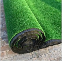 Encrypted artificial turf Swimming pool equipment Floor glue Plastic lawn turf Kindergarten special lawn carpet promotion