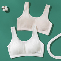 Baishina cotton Youth Development small vest female junior high school student girl underwear big child girl bra
