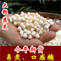 New goods Zhengzong Suo Gorgon dry goods 500g super large grain Suzhou White Gorgon chicken head Rice