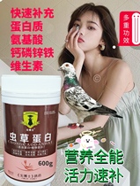 Dove Dr. Almighty Nutrients Protein Amino Acids Calcium Phosphorus Zinc Iron vitamins