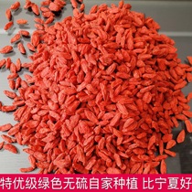 Northwest Lin Grandma Gansu Jingyuan Wolfberry Excellent Ningxia Safe Sulfur Free 500g