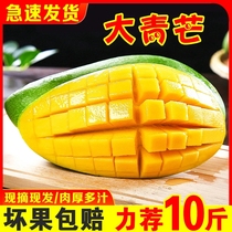 Authentic Vietnamese imported big green mango Big mango Seasonal tropical fresh fruit Sweet mango Golden yellow mango Non-jade mango