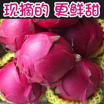 Hainan red heart Dragon fruit Super large fruit Red meat Fresh fruit