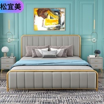 Light luxury Nordic metal wrought iron bed thickened reinforced double economical master bedroom small apartment Simple modern princess bed