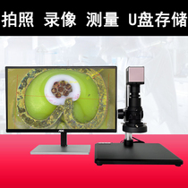 HD industrial electron microscope HDMI USB autofocus 4K watch mobile phone repair and inspection 2K line Motherboard video with display precision measurement microscope magnifying glass