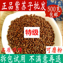 Authentic and authentic New Tongrentang raw material shop Perilla seed 500g Su seed grain can be ground edible ripe purple