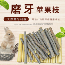 Rabbit Grindroe Apple Branches Hamster Golden Silk Bear Little Dragon Cat Rabbit Special Branch Grindroe Tooth for Calcium Pet Grinding
