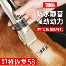 Dog shaver Pet electric shearing Teddy Cat shaving dog hair Professional electric fader hair repair hair haircut Foot hair artifact