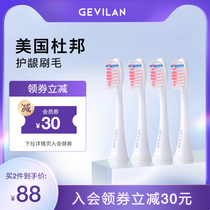  GEVILAN Electric toothbrush head 4 packs Suitable for GET021 031 to prevent tooth bleeding