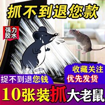 10 pieces of peanut flavor accounted for the big mouse paste strong mouse board super sticky board plus bait glue paper home