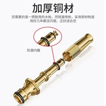 Portable car car wash water gun high-pressure spray gun telescopic water pipe Home powerful washroom Toilet Theaster Ride