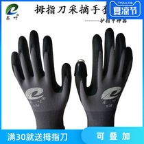 Pick pepper pepper Anti-prick anti-scratch breathable gloves Nail protection artifact Peel beans Pick beans pull lotus root belt artifact