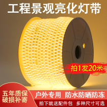 Outdoor waterproof LED lamps full of star colorlights flashing lights outdoor landscape lighting lighting festival decoration lamp strip