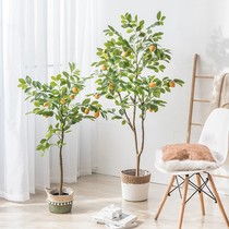 Ins Nordic large-scale simulation plant decoration floor-to-ceiling fake green plant potted decoration lemon tree living room indoor fake flowers