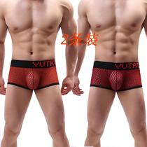 Two dress YUTATA foreign trade Eurocode pants for men Half-perspective Breathable Flat Corner Pants Mens and Sexy Briefs