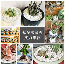 White bonsai decorative stone flowerpot stone rice box fish tank white sand small stone garbage can smoke ashtray