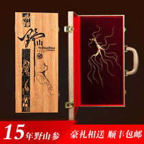 Ginseng Wild Mountain ginseng Forest ginseng 15 years dry ginseng State inspection from Changbai Mountain Northeast wild ginseng bubble wine gift box